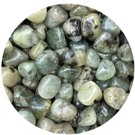 GAF TREASURES Wholesale Prehnite with Rutile Tumbled Stones, Polished Natural Prehnite with Rutile Gemstone, Prehnite with Rutile Polished Rocks (Prehnite with Rutile, 0.25 Pound)