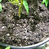 Hubey Perlite for Plants - Drainage Layer - Oxygen Storage,