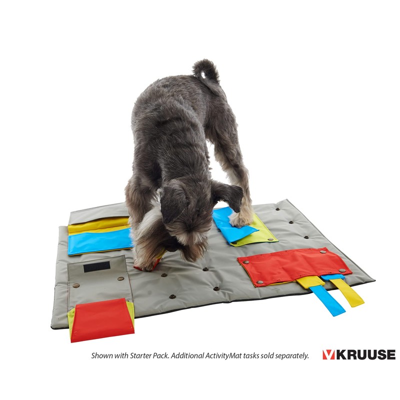 Kruuse Buster ActivityMat Task – Mouse Trap (Level 3) –