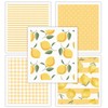 HALL & PERRY - Paños de cocina suecos, 5 unidades,