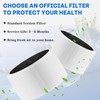211i Max Air Filter Replacement Compatible with Blue Pure 211i