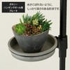 Richell Botany Hanging Pole Plate, Black, 701860 7.8 x 10.0