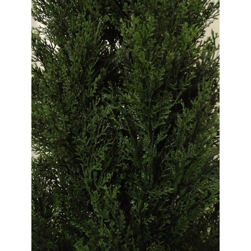 Two 3 Foot Outdoor Artificial Cedar Trees Potted Plants
