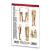 Trigger Points II: Extremities - Meridian Points Pocket Reference Chart