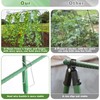 Tetutor Cucumber Trellis for Raised Beds, 63 x 45 Inch