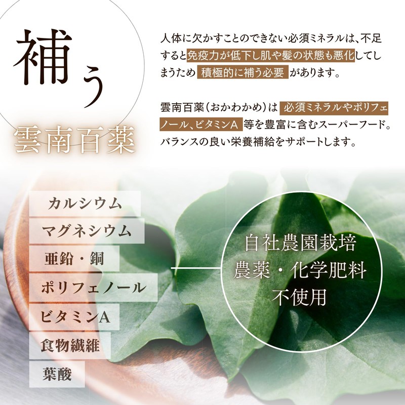 マームグデロ ビューティーサポートプラス 62粒入 NMNサプリ セラミド コラーゲン レスベラトロール配合 雲南百薬 インナーケア GMP認定工場製造