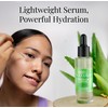 Succuluxe Hydration Serum - with Hyaluronic Acid, Aloe Vera &