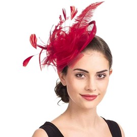 Fascinators Hat Flower Women Girls Hair Mesh Feather Clip Elegant Hair Clip Veil 20s Headpiece Cocktail Tea Party Headpiece Pillbox Headband Hairpin Hair Accessories Wedding Church