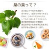 Ogaland Value Mulberry Leaves (270 Capsules, Approx. 3 Month Supply)