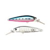 Ams Design (ima) Ataru (ataru) 70S #X5632 Sardine Grand Dissection
