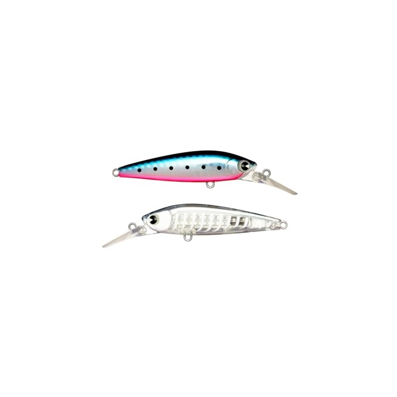 Ams Design (ima) Ataru (ataru) 70S #X5632 Sardine Grand Dissection
