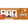 Fire Water Marine Three Fuel Camping Stove Butane Propane and
