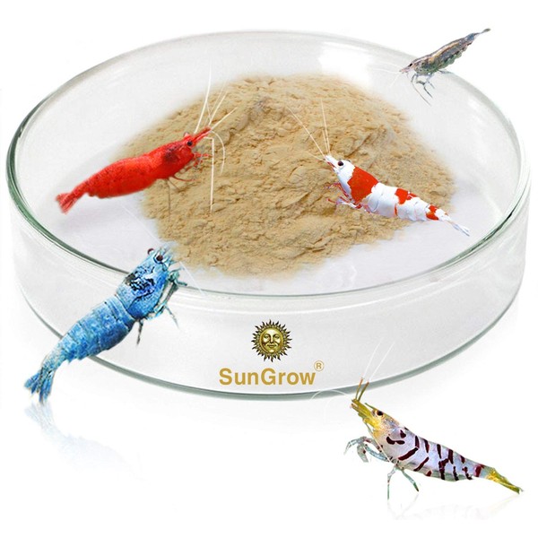 SunGrow Tough Borosilicate Glass Shrimp Feed Dish, 2.5 Inches Wide and 0.5 Inch Deep, Transparent Basin for Shrimp Food