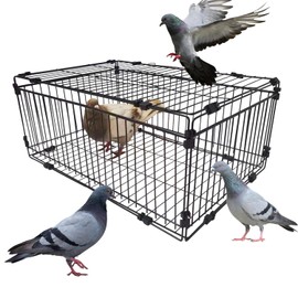Bird Trap Cage Pigeon Quail Chicken Outdoor Trapping Live Small Bird Trap