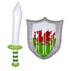 ILOVEFANCYDRESS INFLATABLE KNIGHTS WELSH FLAG SHIELD AND INFLATABLE SWORD POOL