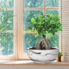 G EPGardening 10Inch Large Planter Marble Pattern Ceramic Succulent Planter