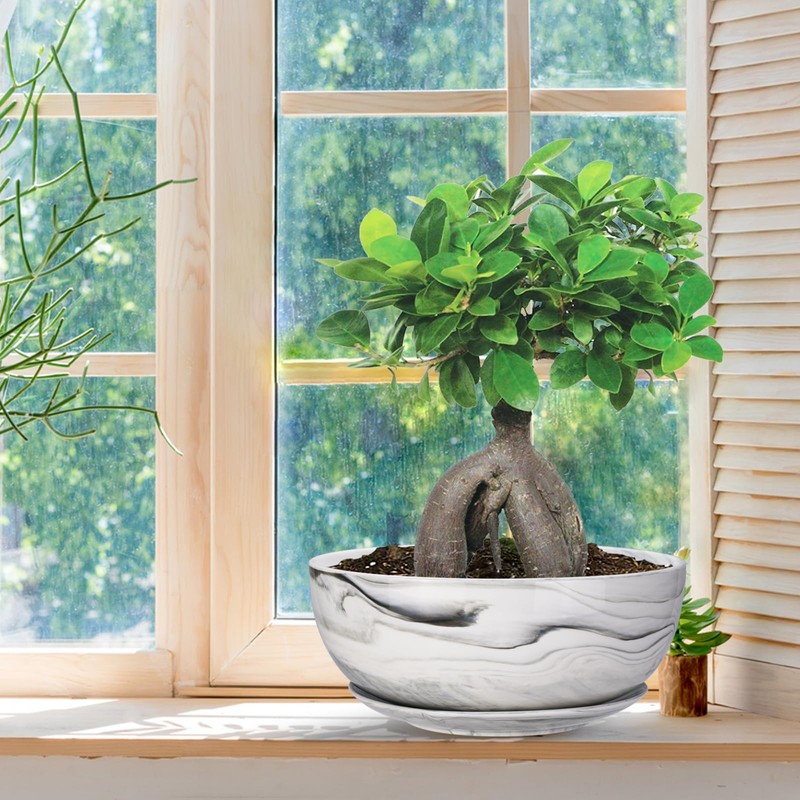 G EPGardening 10Inch Large Planter Marble Pattern Ceramic Succulent Planter