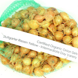 Stargazer Perennials Yellow Stuttgarter Onion Sets 8 oz | Organic Non-GMO Bulbs - Easy to Grow…