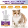 Branded Cat Pheromones Calming Diffuser 5 in 1 Therapet Md