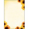 SIGEL DP129 Sunflower Design Paper 90g A4 50 Sheets Sustainable