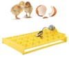 Egg Incubator Egg Tray Small 24 Eggs Four Leaf Flower