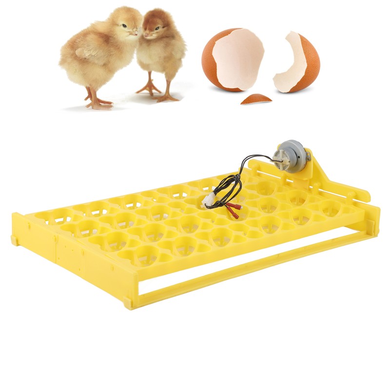 Egg Incubator Egg Tray Small 24 Eggs Four Leaf Flower