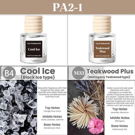 2 Pack Pick 80+Scents Car Air Freshener Hanging Car Diffuser Made in USA Last for 120 Days:_L31-Love Spell