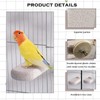 TkoYuHm 4pcs Bird Perch Stands Foot Claws Trimmer Beak Grinding