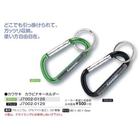 Kawasaki Genuine Parts GRN Kawasaki Carabiner Keychain J7002-0128
