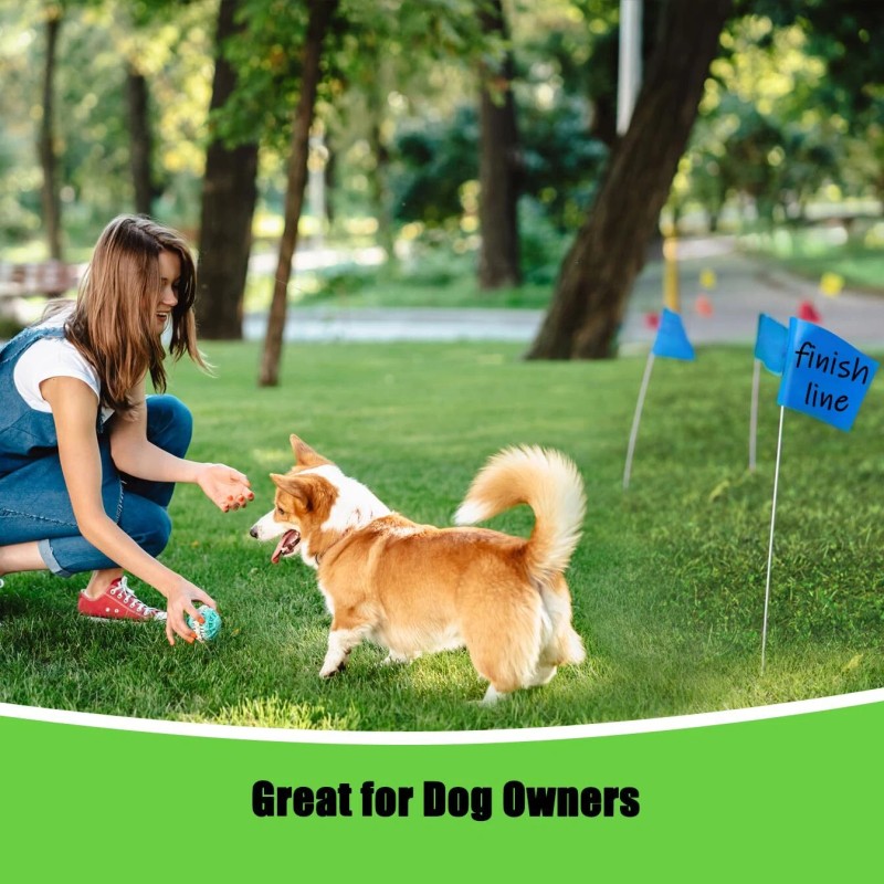 Zozen 100Pack Marking Flags Orange&Green&Blue Marker Flags for Lawn 15x4x5