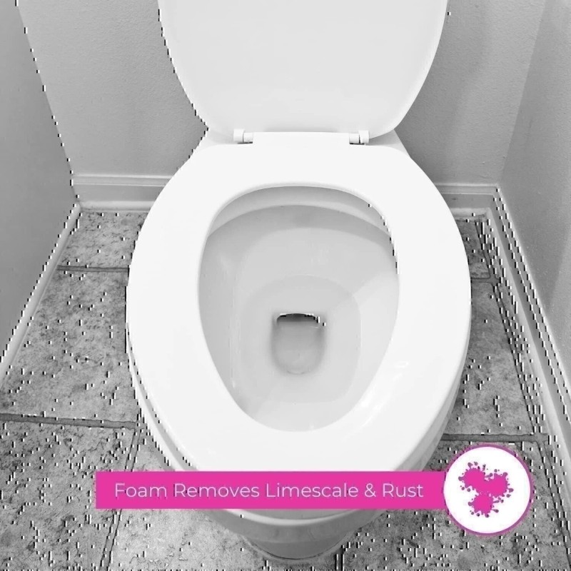 Astonish Foaming Eucalyptus Fresh Fizz & Fresh Bathroom Toilet Bowl