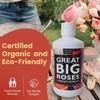 Great Big Roses – Soil and Rose Fertilizer Booster to