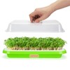 Pack of 6 Microgreens Growing Kit, Microgreen Trays for Seed