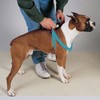 Guardian Gear 2 Step Pet Harness Malibu