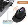 J-Tech Digital Ergonomic Mouse with Wireless Connection, Removable Palm Rest,