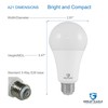 Great Eagle 50/100/150W Equivalent 3-Way A21 LED Light Bulb 2700K