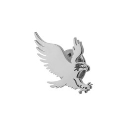Fierce Eagle Dove Birds Brooch Stainless steel Bow Button Suit Badge Men's Women's Gifts (eagle steel)