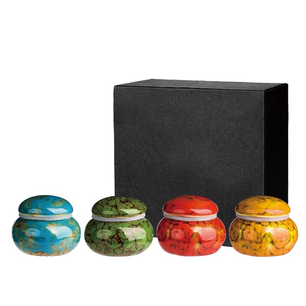 DYUEE Small Urn for Human Ashes Or Pet 4 PCS,