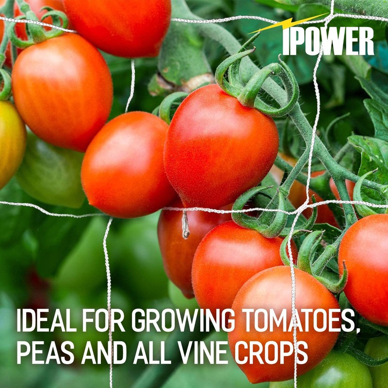 iPower 5 x 15FT Plant Trellis Netting, Heavy-Duty Polyester Grow