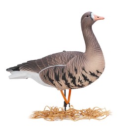 Heerweiyi Realistic Specklebelly Goose Decoys - Durable and Detailed Hunting Decoy Set with Lifelike Feather Patterns - 6-Pack for Outdoor Sports and Waterfowl Hunting