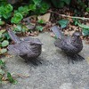 Pair of Detailed Resin Wren Bird Ornaments for Home or