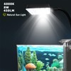 iPriro Ultra White Glass Betta Aquarium Starter Kits 1.5 Gallon