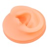 Silicone Ear Acupuncture Practice Model Reusable Simulation Ear Display Model