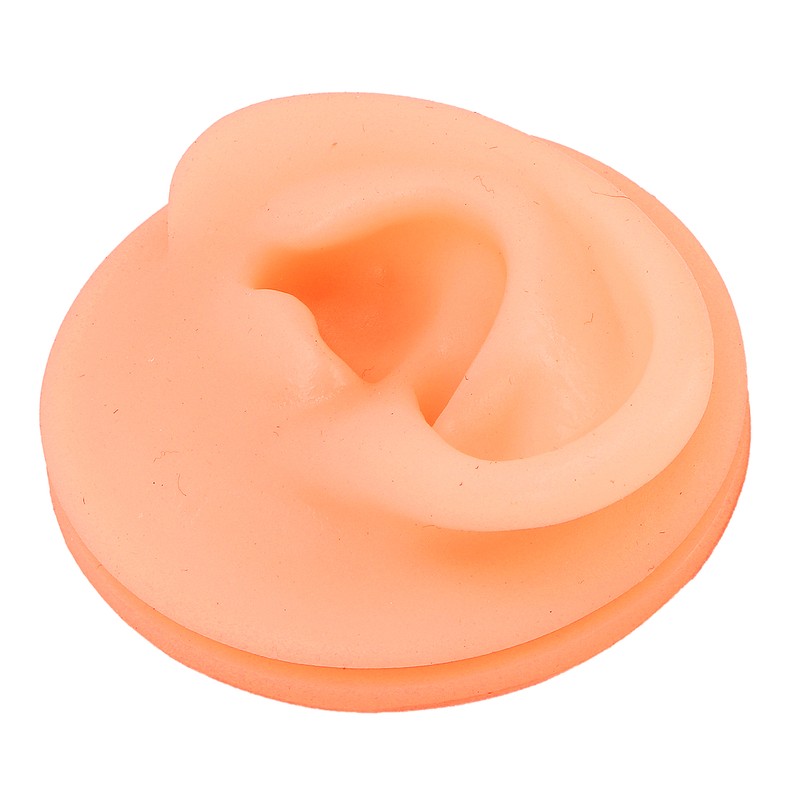 Silicone Ear Acupuncture Practice Model Reusable Simulation Ear Display Model