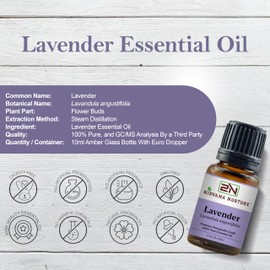 Nirvana Nurture Lavender Essential Oil 100% Pure Premium Therapeutic Grade, Undiluted - Aromatherapy Diffuser for Calm and Relaxation, Skin Care, Hair Care