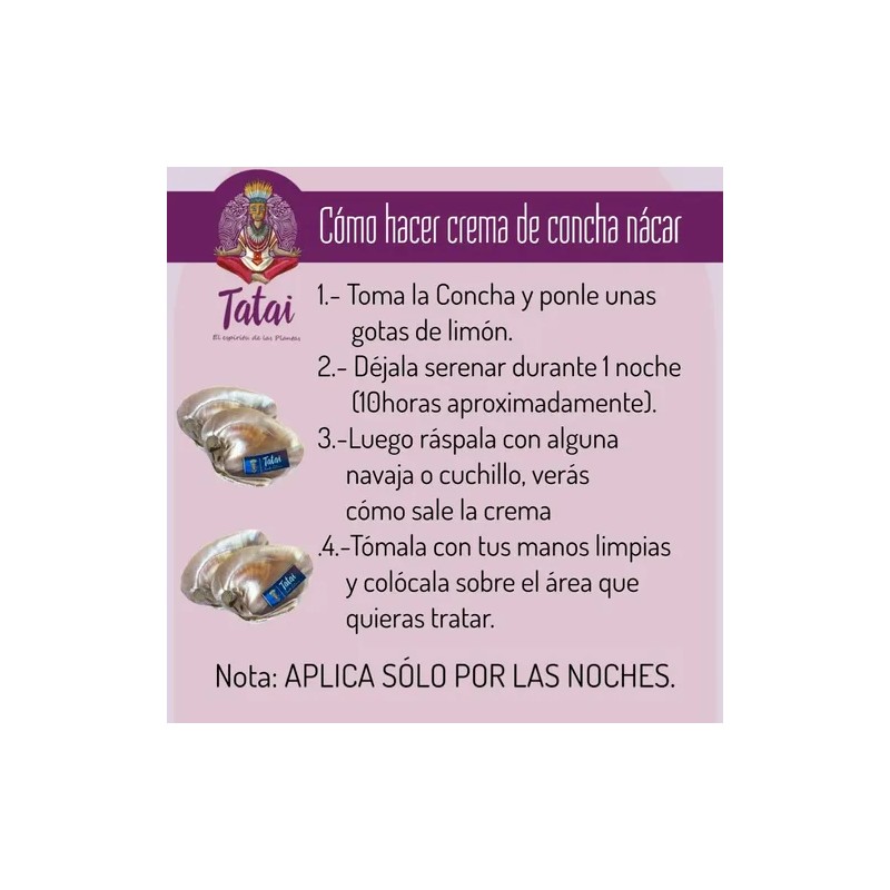 Ostras De Concha Nacar Tatai 100% Naturales 8cm 2 Piezas