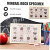 Gatuida Geology Classroom Essentials 12-Pack Mineral Rock Specimens for Display