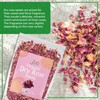 Jiva USDA Organic Dried Red Rose Petals 6 Oz (170g)