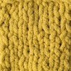 Bernat Blanket Yarn - Big Ball (10.5 oz) - 2