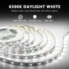 dalattin White LED Strip Lights 100ft, Dimmable Bright 24V Led